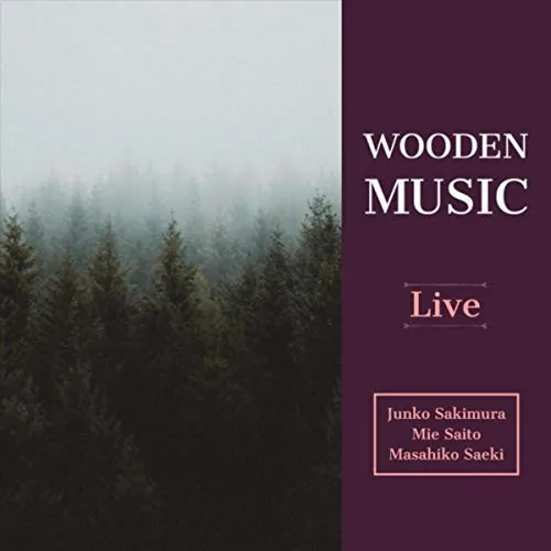 Album cover for Wooden Music by Junko Sakimura and Mie Saito